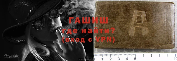 индика Беломорск