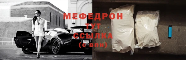 индика Беломорск
