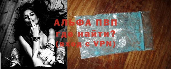 индика Беломорск