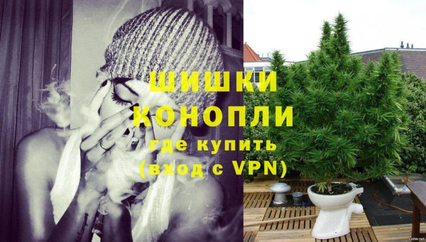 индика Беломорск