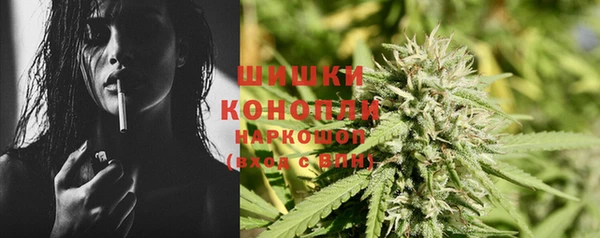 ECSTASY Белокуриха