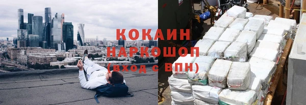 индика Беломорск
