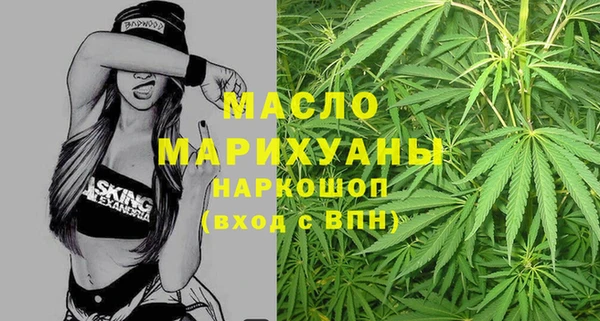 индика Беломорск