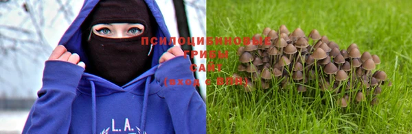 ECSTASY Белокуриха
