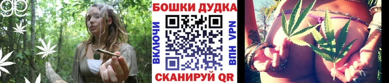 купить закладку  Курчалой  KRAKEN вход  Бошки марихуана планчик 